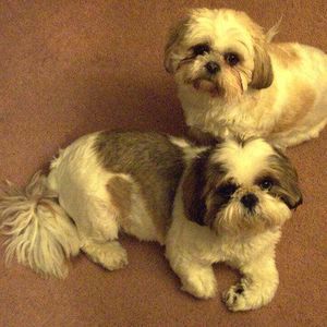 Meet your Posher, Catherine